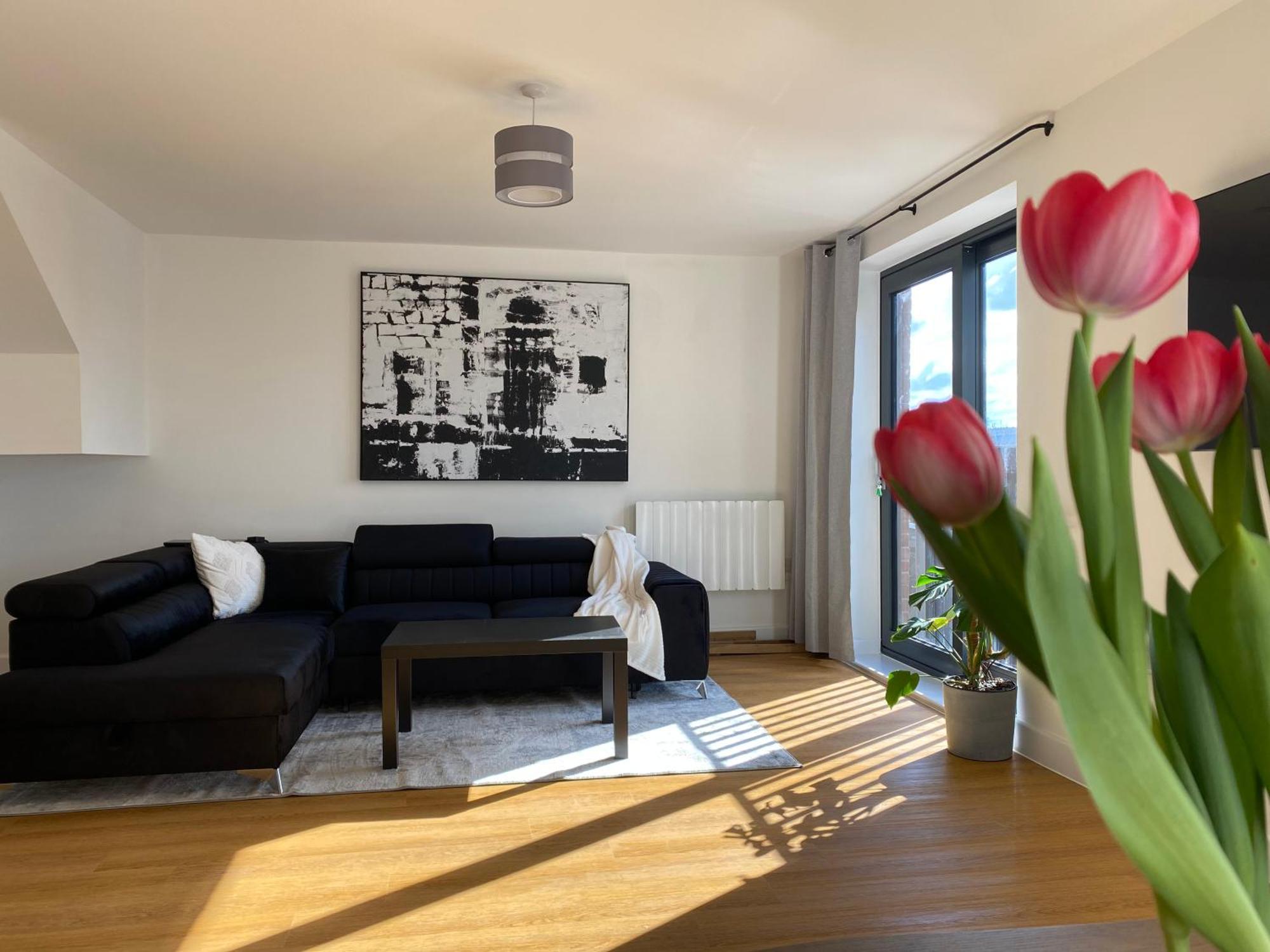 Apartment Beautiful Penthouse In - New Bristol
